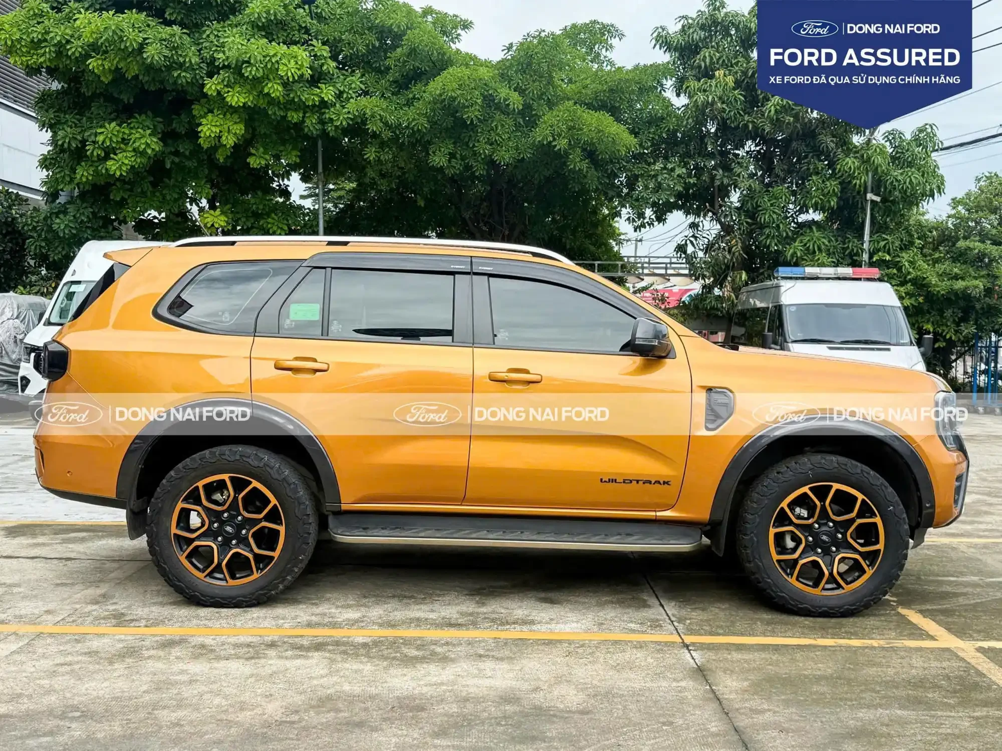 FORD EVEREST WILDTRAK 2023 (4x4, AT)